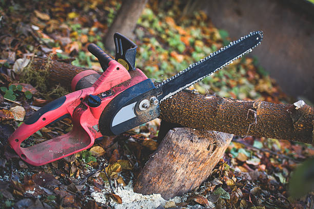 How Our Tree Care Process Works  in  Shoal Creek, AL